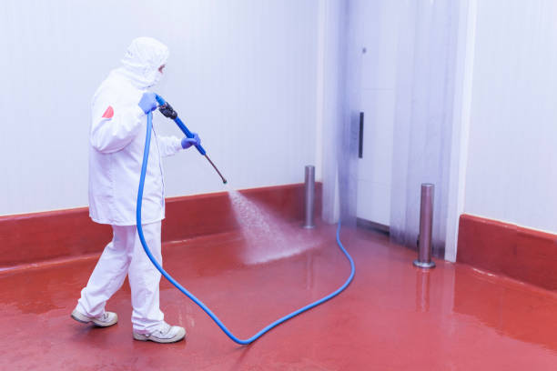 Best Paint Preparation  in San Juan Bautista, CA